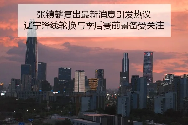 张镇麟复出最新消息引发热议 辽宁锋线轮换与季后赛前景备受关注